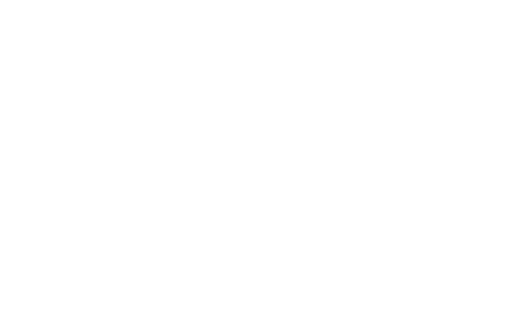 helmer coaching en advies wit tekstlogo